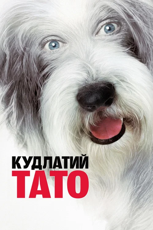 Кудлатий тато / Кудлатий пес