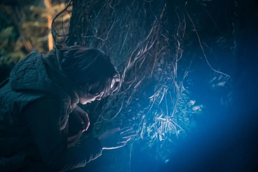 Frame 6