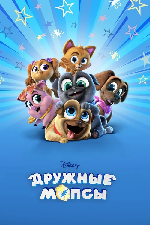 Дружные мопсы