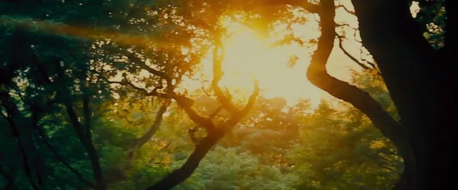 Frame 8