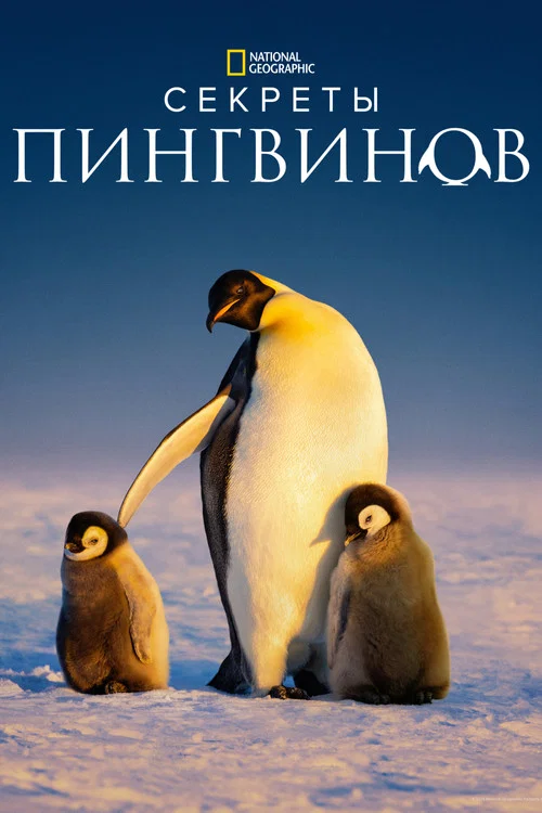 Секреты пингвинов
