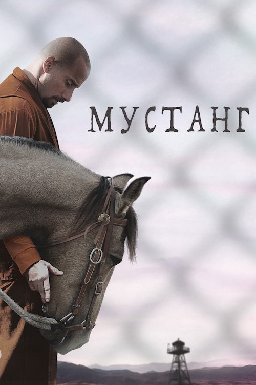 Мустанг