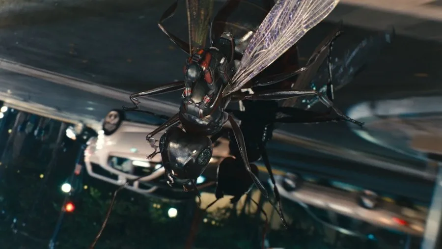 Frame 6