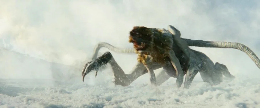 Frame 6