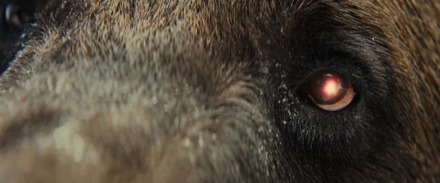 Frame 3