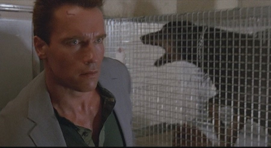 Кадр 1