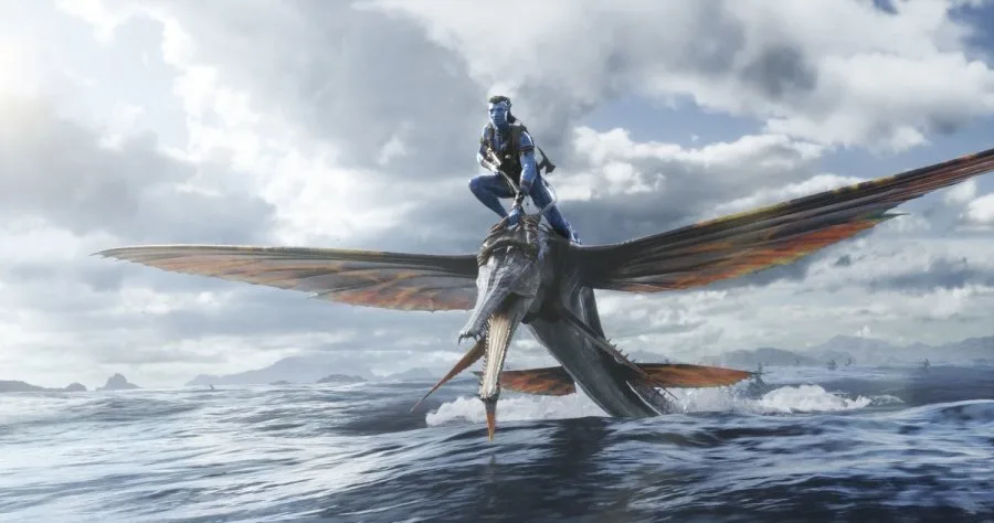 Frame 9