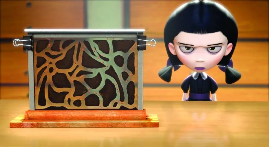 Frame 5