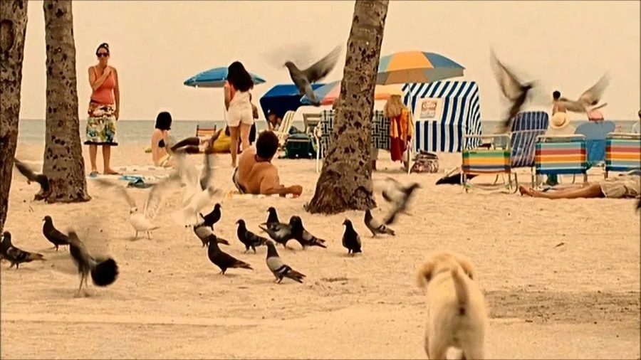Frame 1