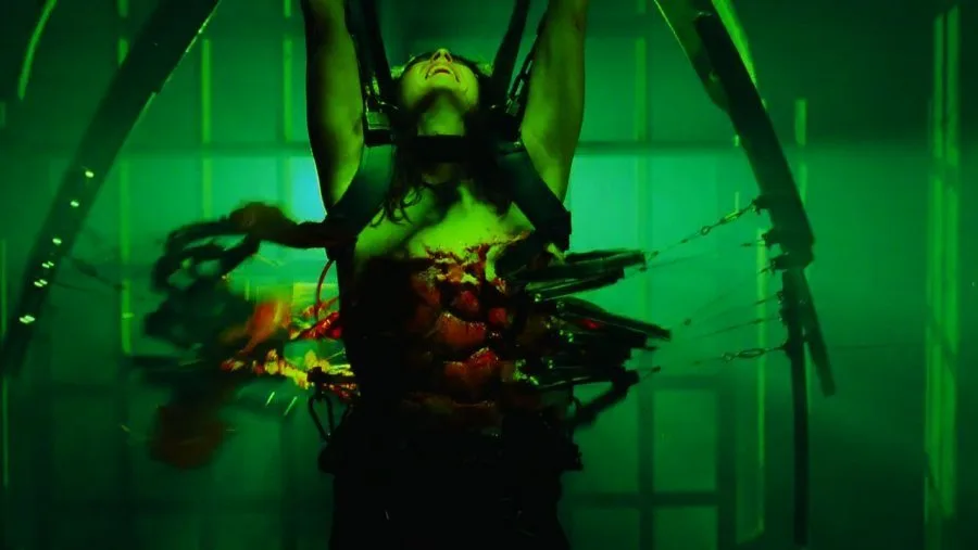 Frame 6