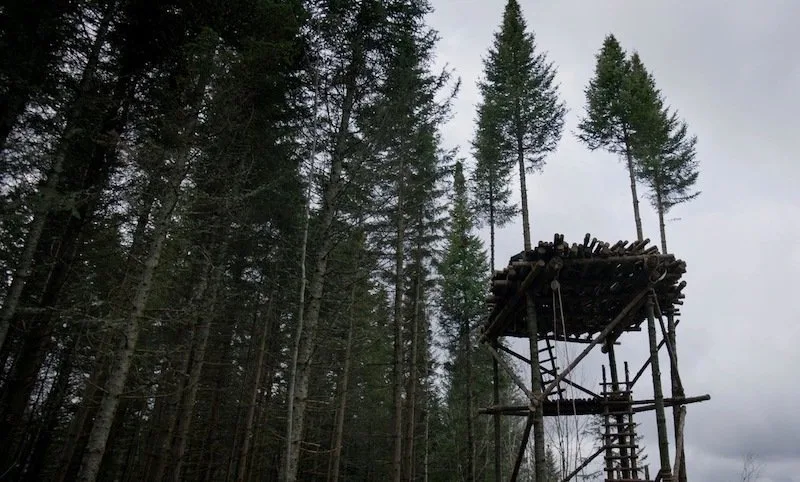 Frame 5