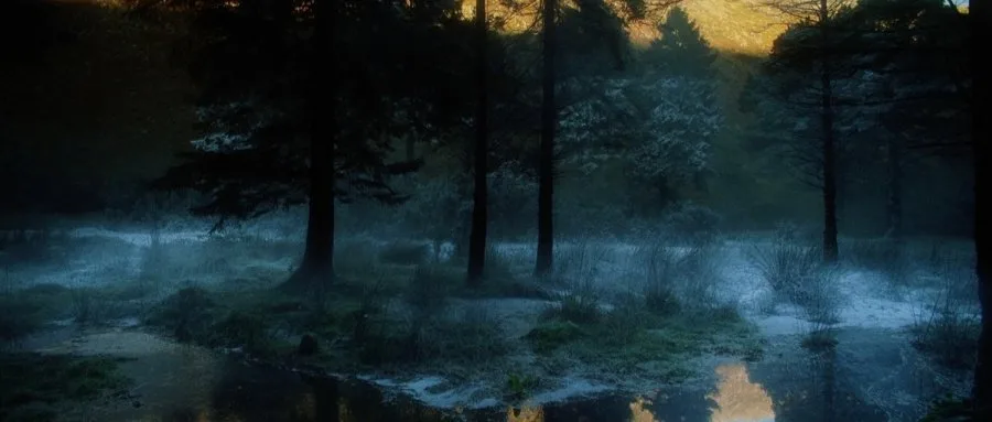 Frame 8
