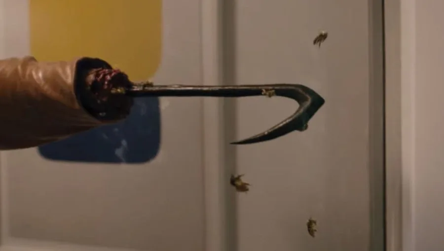 Frame 6