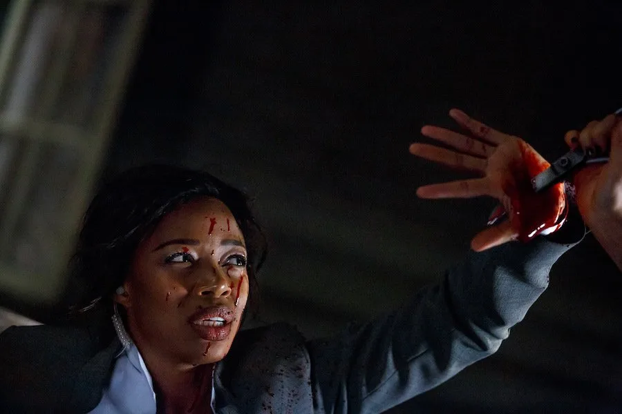 Frame 7