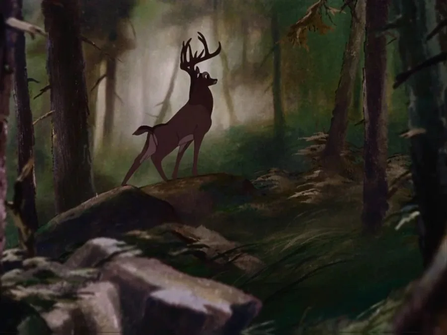 Frame 5