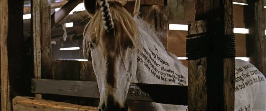 Frame 6