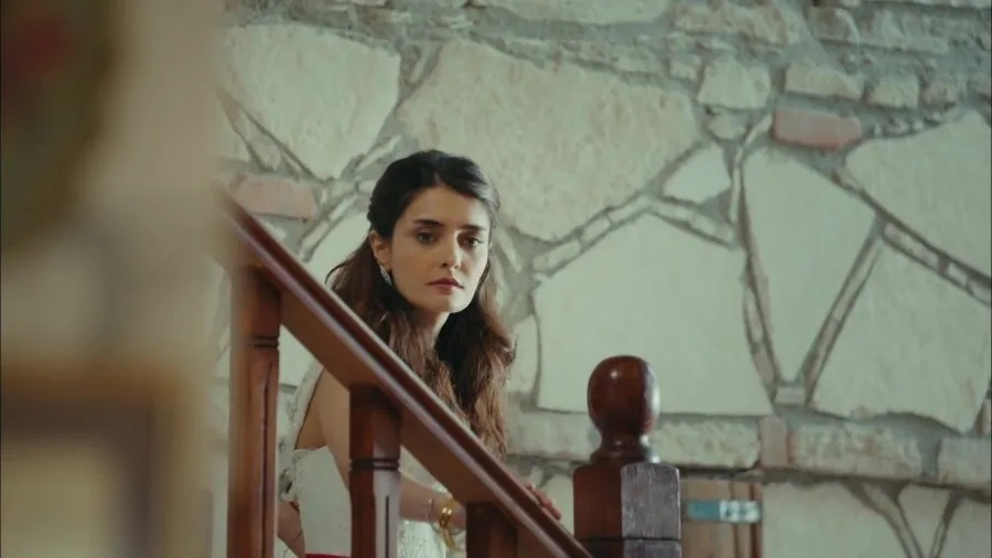 Frame 7
