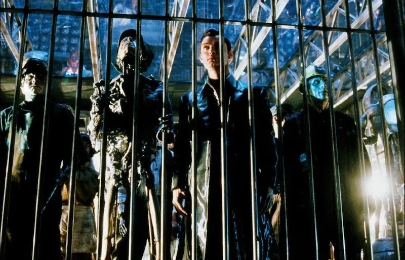 Frame 6