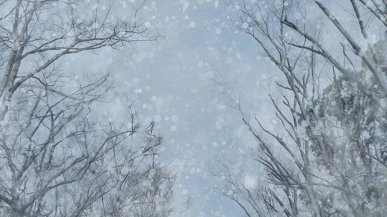 Кадр 7
