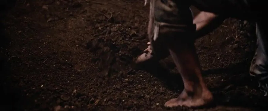 Frame 1