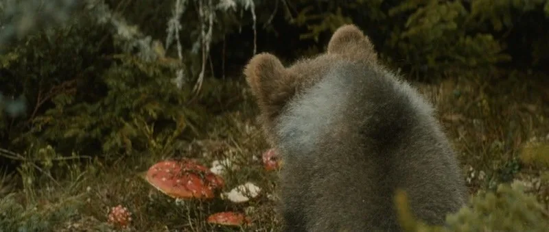 Frame 5