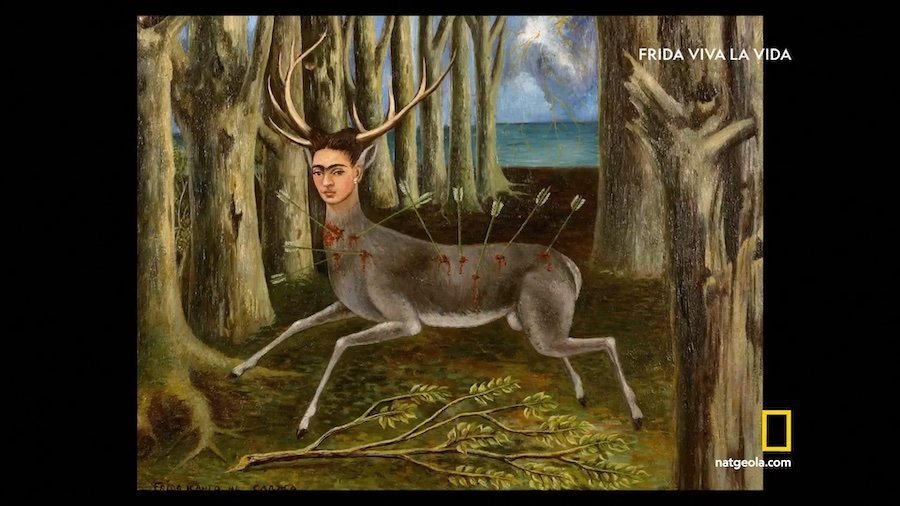 Кадр 2