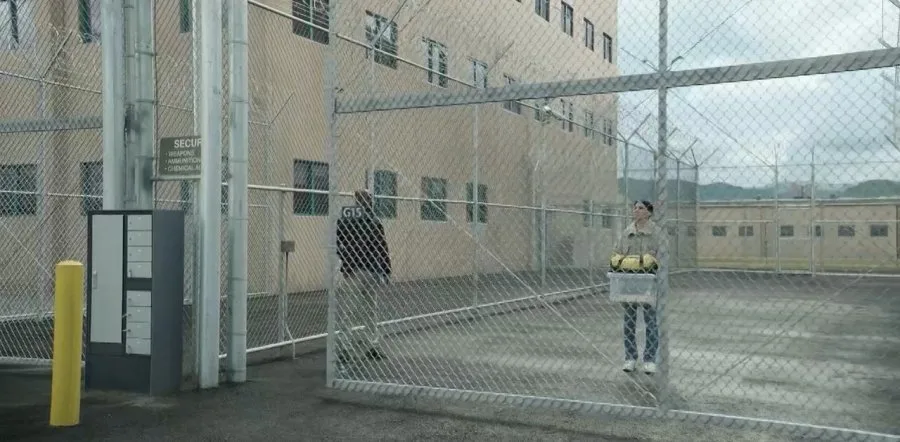 Frame 6
