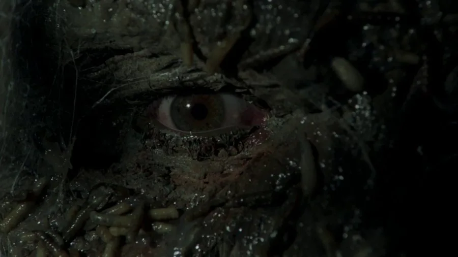 Frame 7