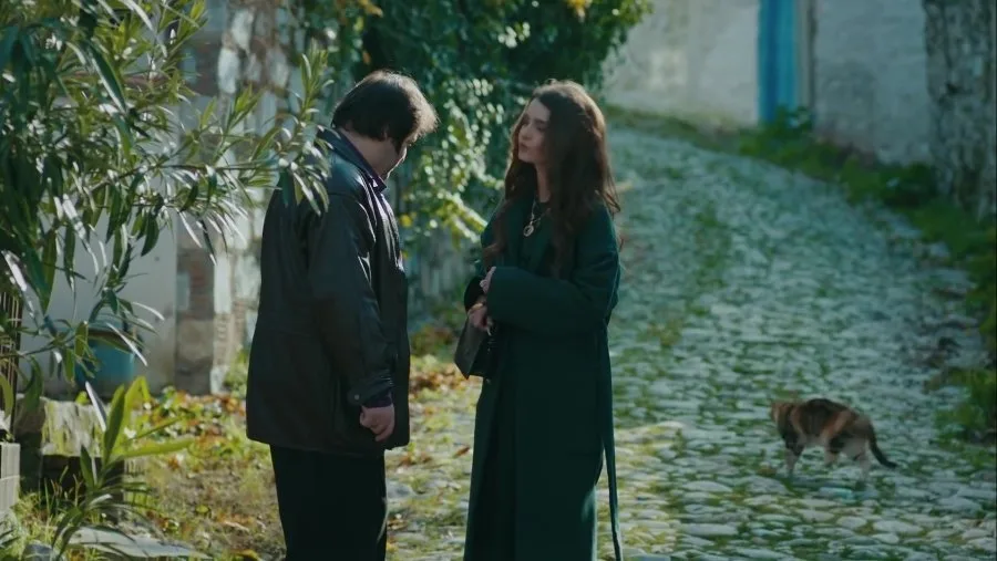 Frame 13
