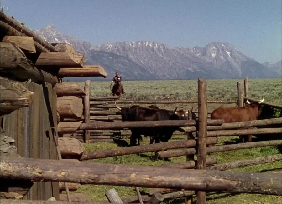 Frame 9