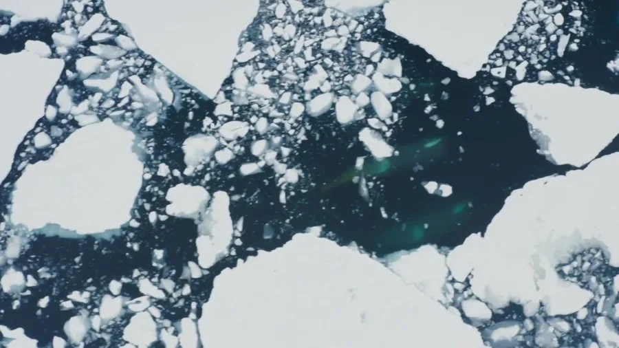 Frame 8