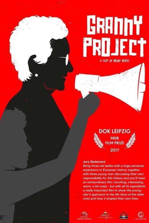 Nagyi projekt