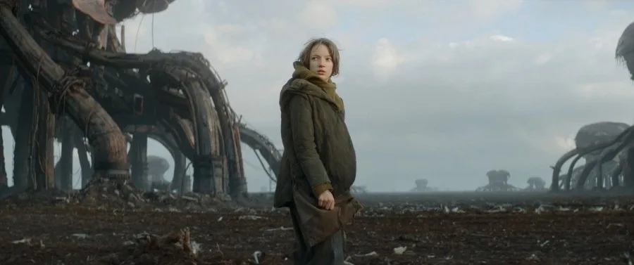 Frame 8