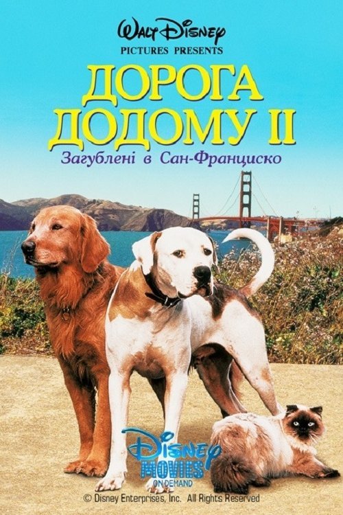 Дорога домой 2: Затерянные в Сан-Франциско