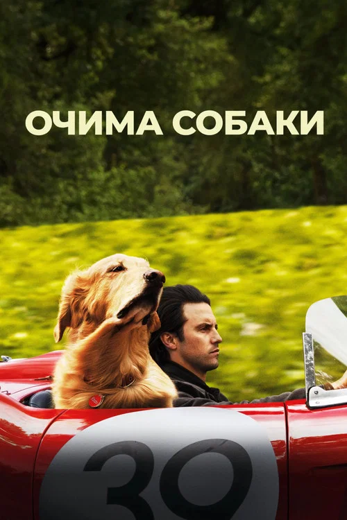 Очима собаки