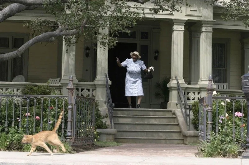 Frame 6