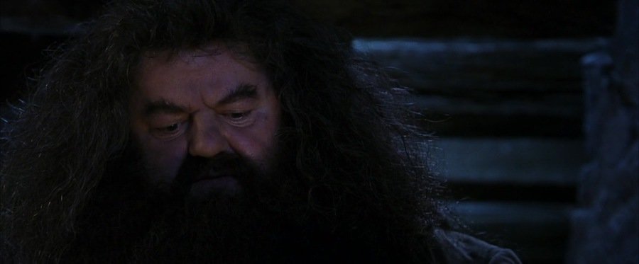 Кадр 6