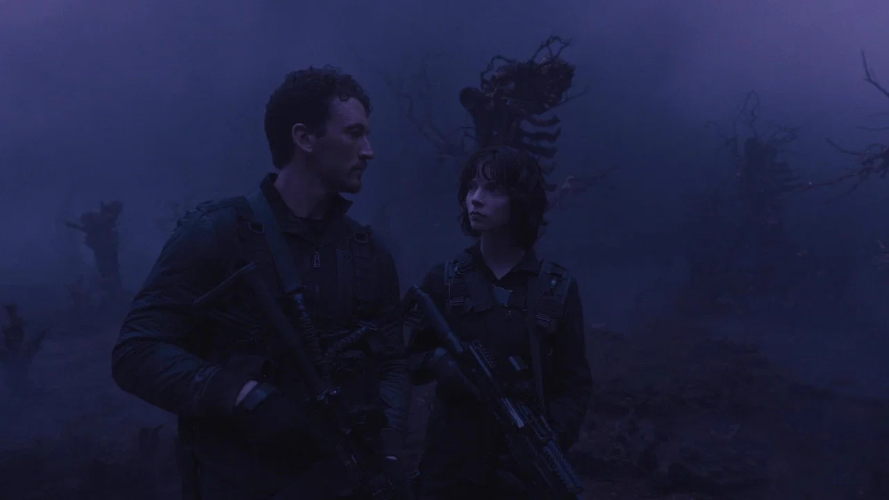 Frame 12