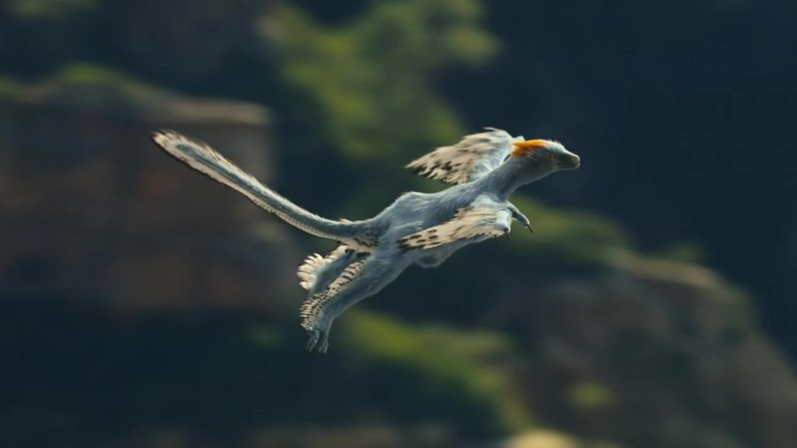 Кадр 3