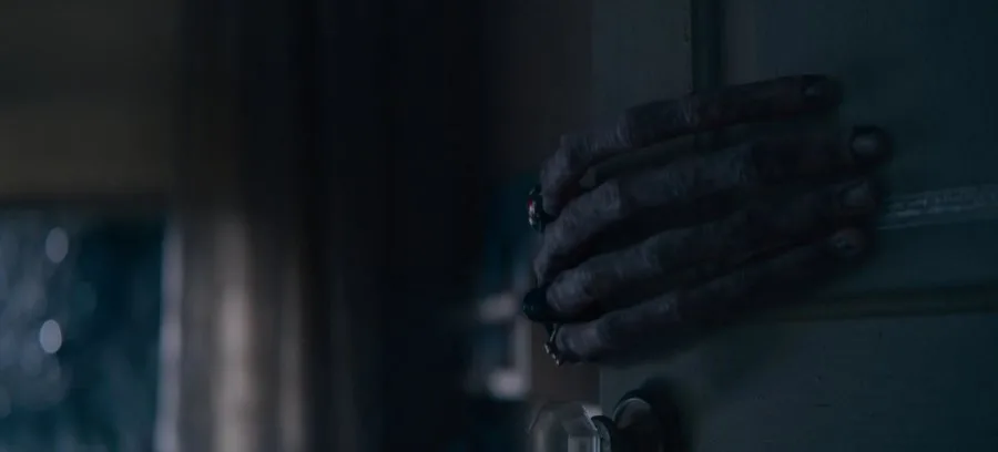 Кадр 1