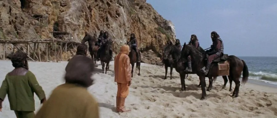 Frame 6