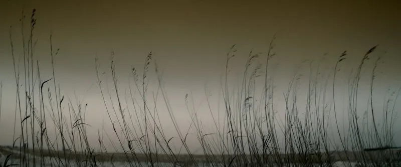Frame 6