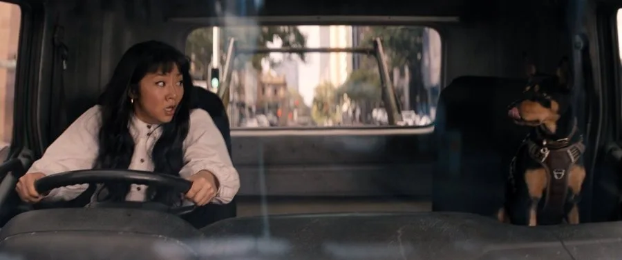 Frame 6