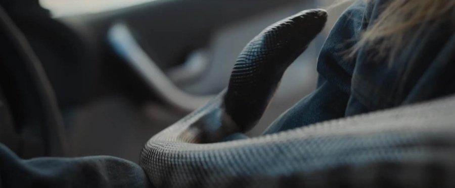 Кадр 6