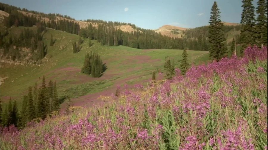 Frame 10