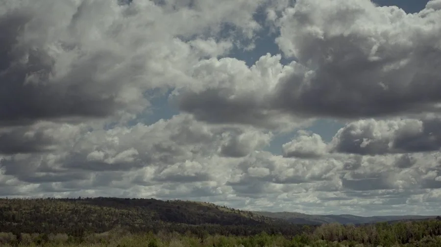 Frame 11