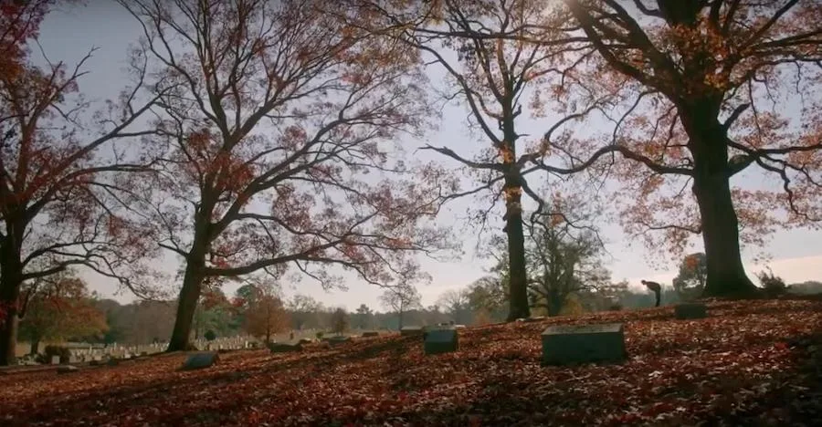 Frame 1