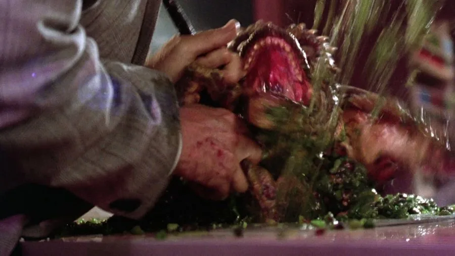 Frame 6