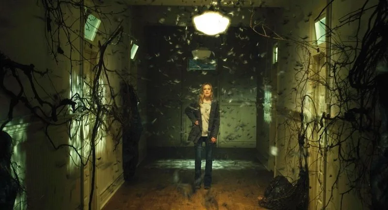 Frame 6
