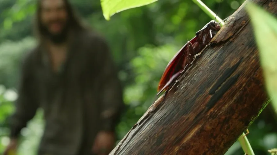 Frame 4